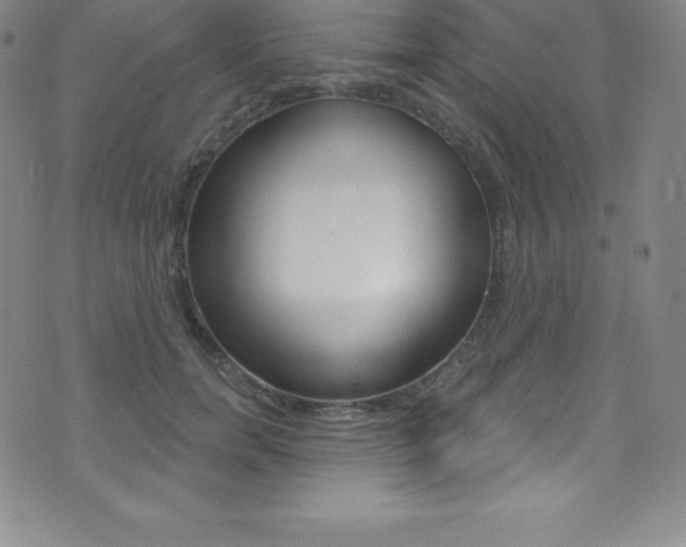 X0000075400750200609081003