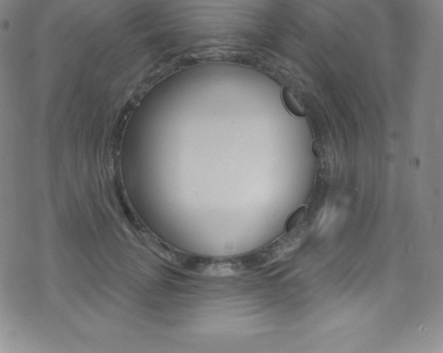 X0000075400751200609081003