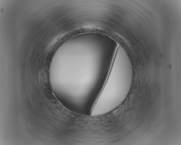 X0000075400776200609081003