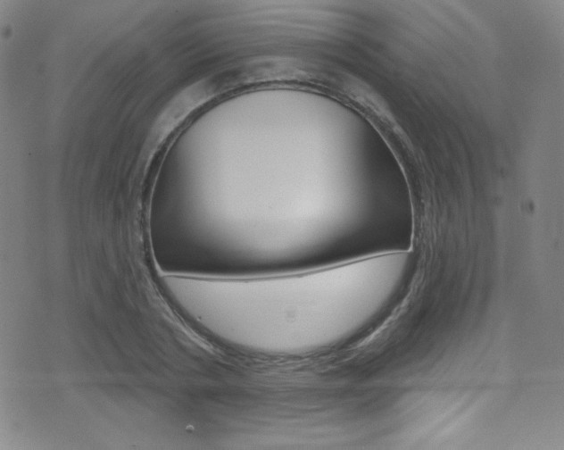 X0000075400786200609081003
