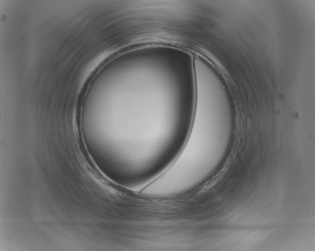 X0000075400788200609081003