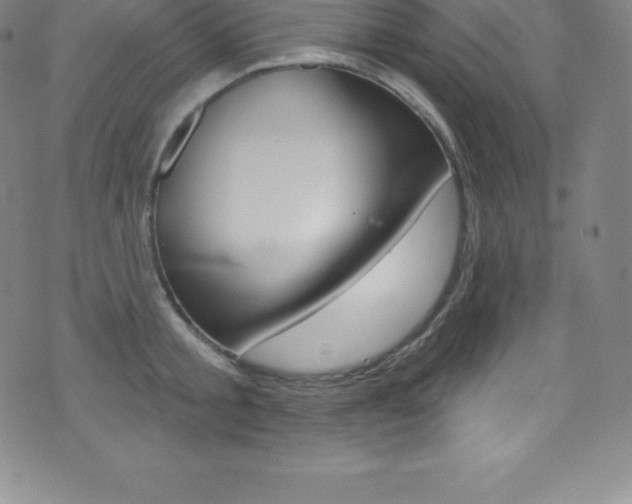X0000075400805200609081002