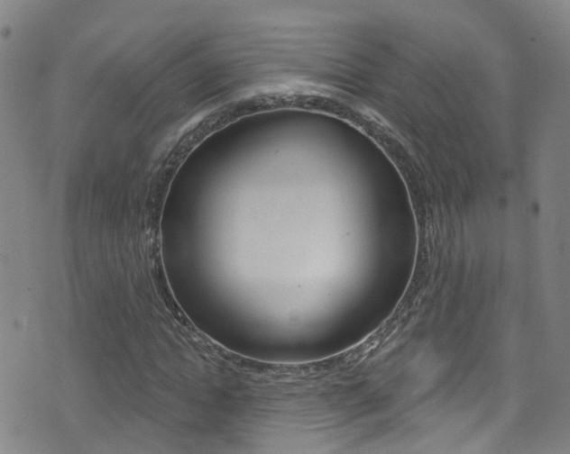X0000075400822200609081001