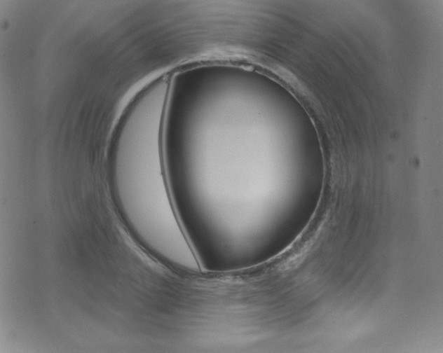 X0000075400838200609081002