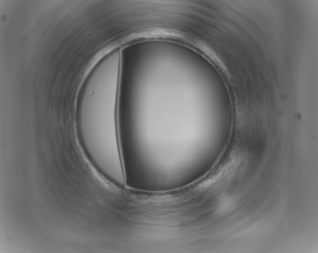 X0000075400845200609081002