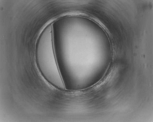 X0000075400853200609081002