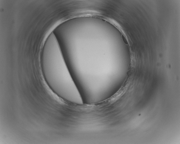 X0000075400859200609081002