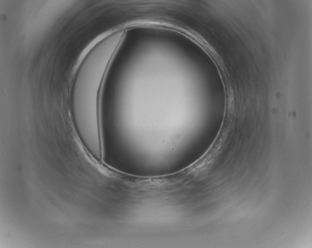 X0000075400862200609081002
