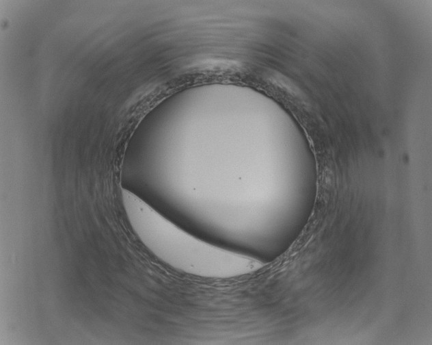 X0000075400869200609081001