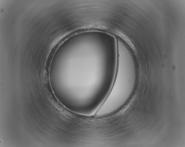 X0000075400876200609081001