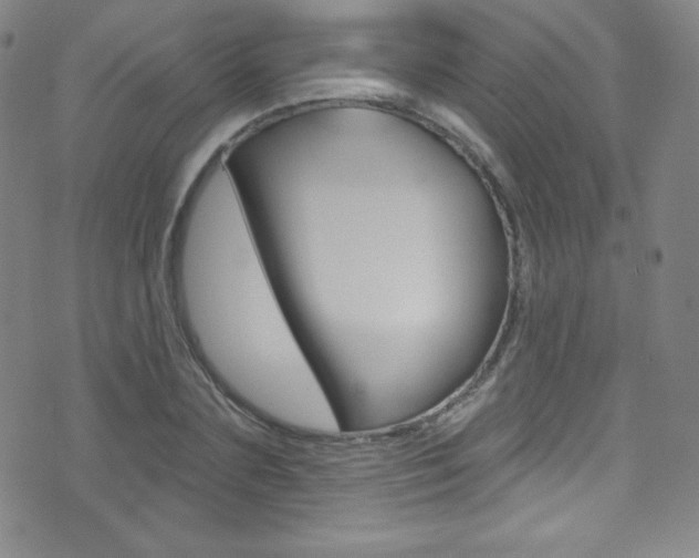 X0000075400883200609081001