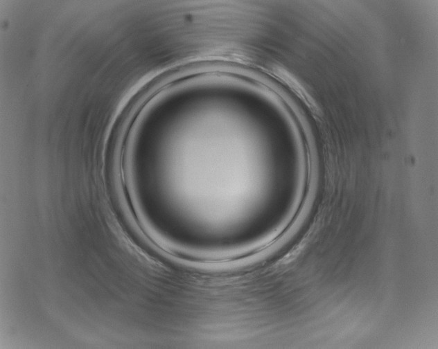 X0000075400884200609081001