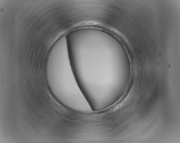 X0000075400929200609081000