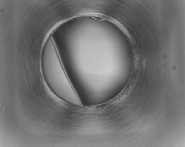 X0000075400955200609081000