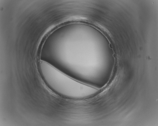 X0000075401029200609080959