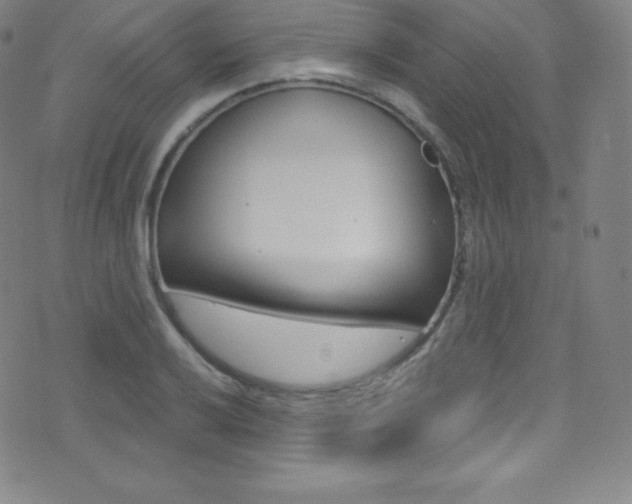 X0000075401032200609080959