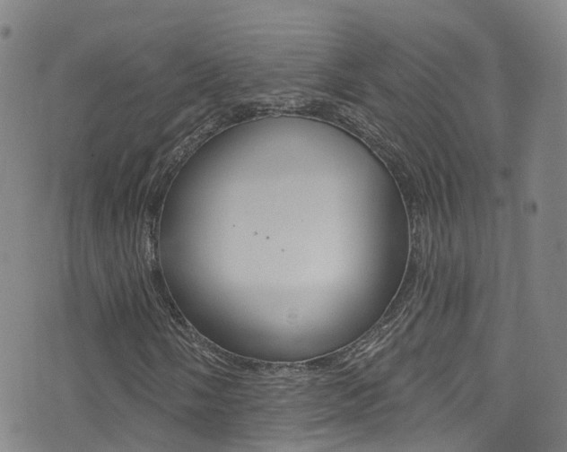 X0000075401058200609080958