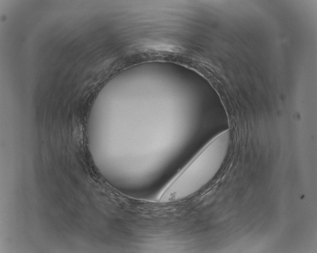 X0000075401061200609080958
