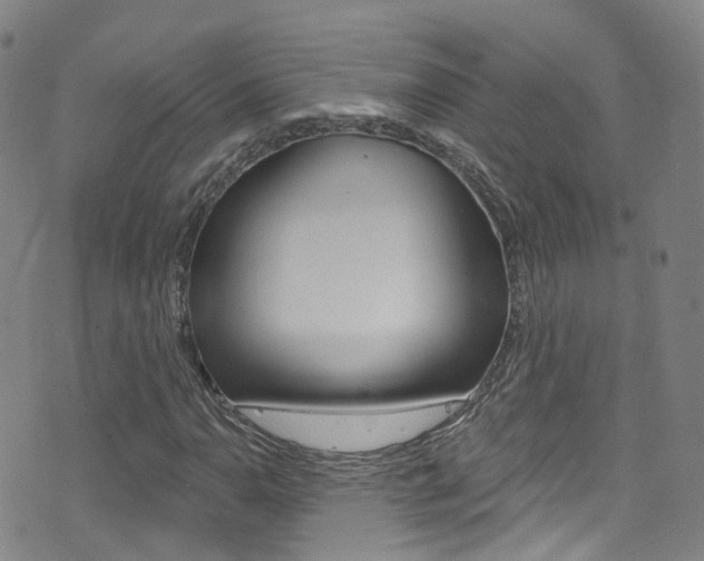 X0000075401110200609080957