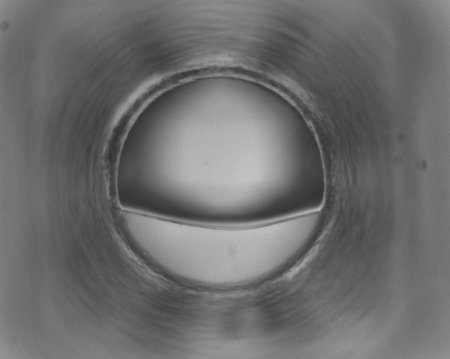 X0000075401118200609080957