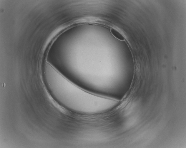 X0000075401131200609080957