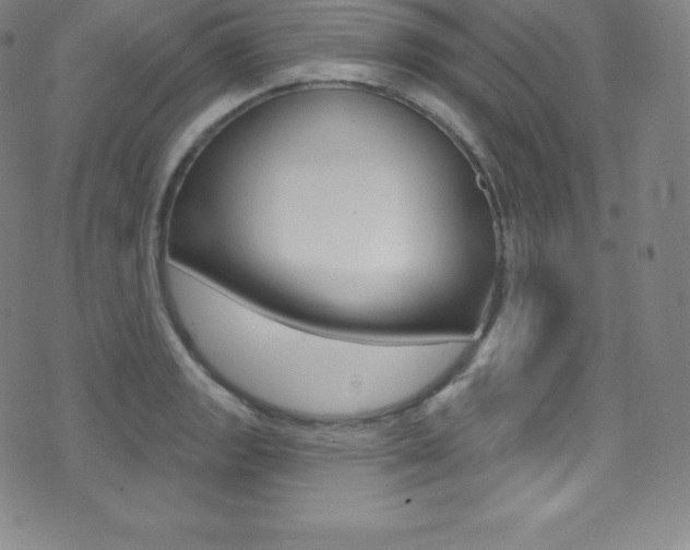 X0000075401133200609080957