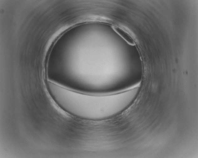 X0000075401136200609080957