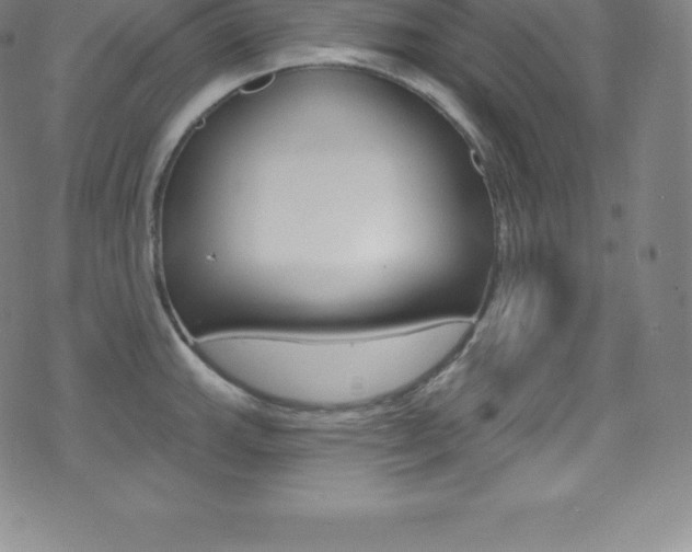 X0000075401143200609080957