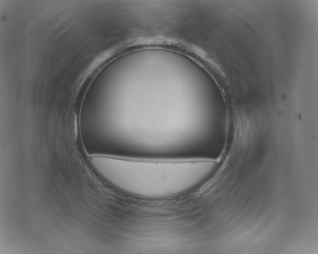 X0000075401221200609080955