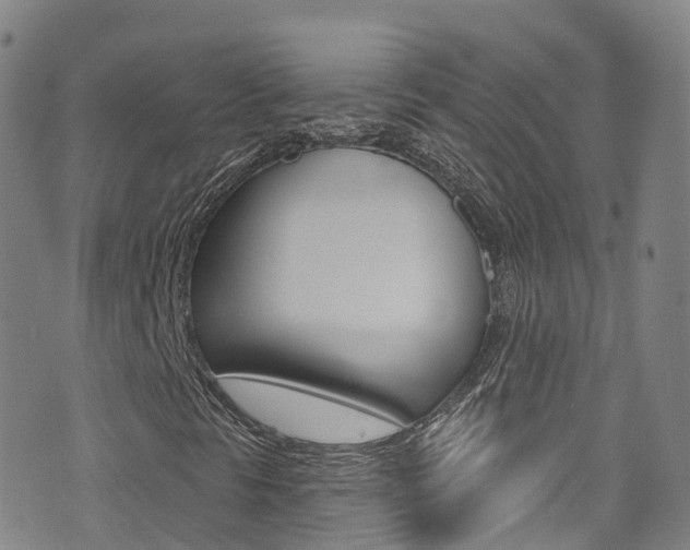 X0000075401297200609080954