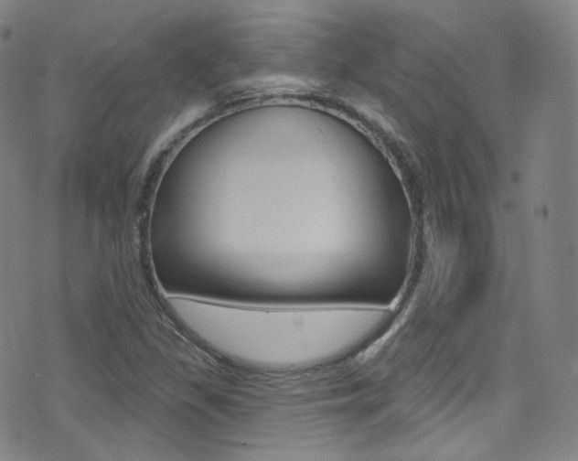 X0000075401309200609080954