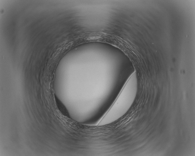 X0000075401441200609080952