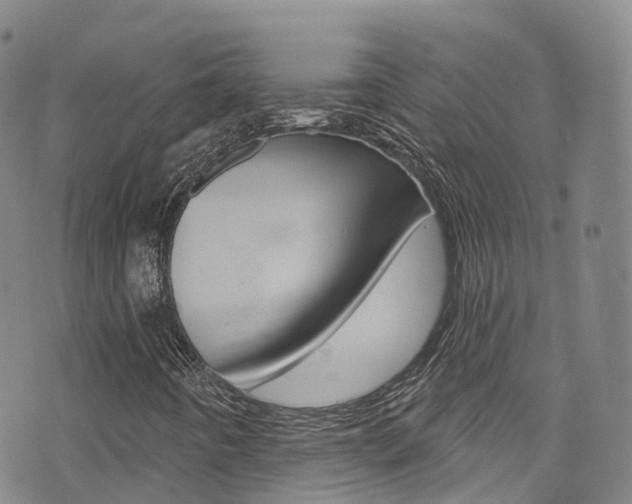 X0000075401442200609080952