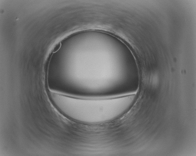 X0000075401508200609080951