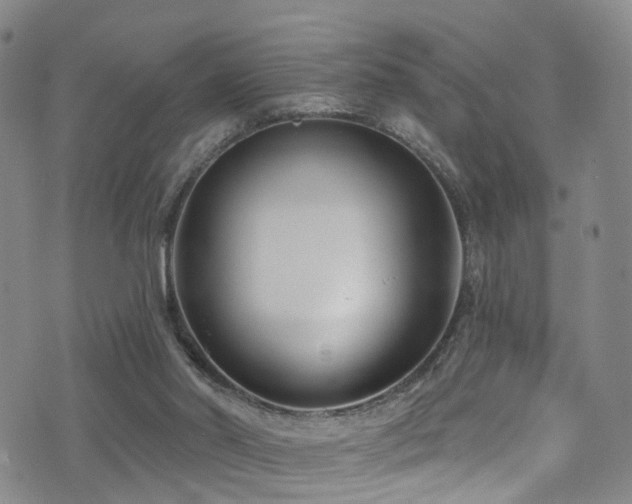 X0000075400014200609081306