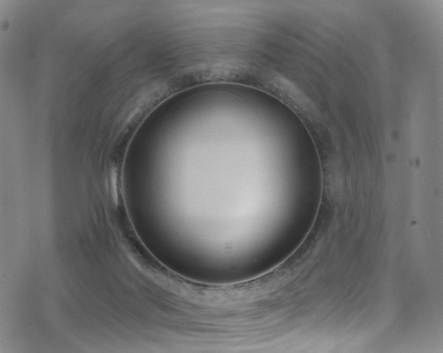 X0000075400022200609081306