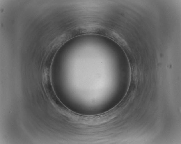 X0000075400026200609081306