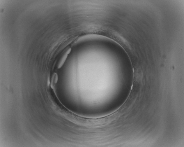 X0000075400027200609081306
