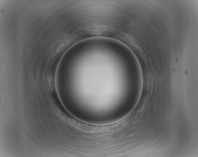 X0000075400031200609081306