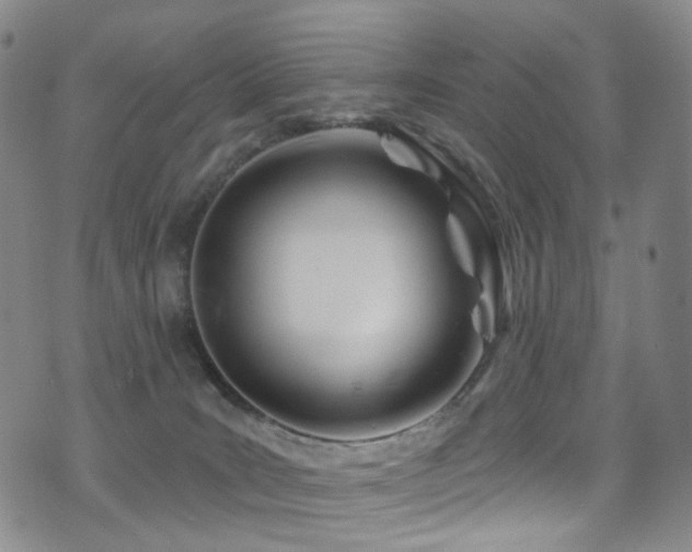 X0000075400035200609081306