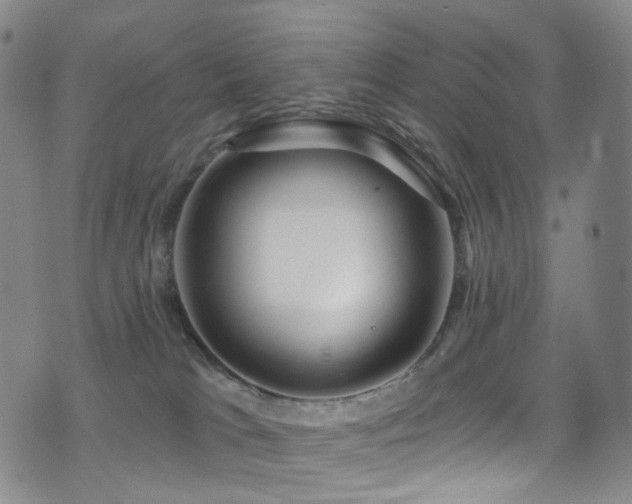 X0000075400037200609081306