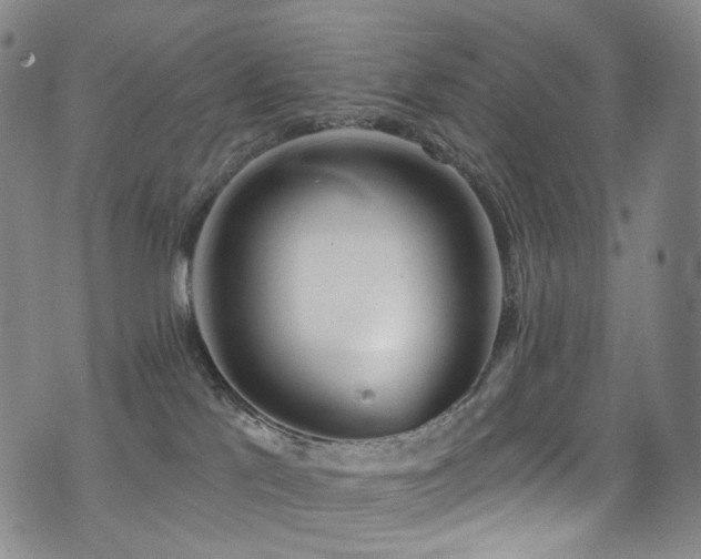 X0000075400041200609081306