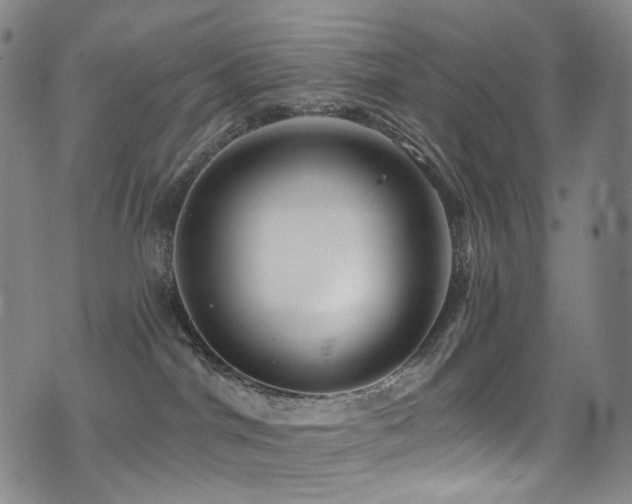 X0000075400044200609081306