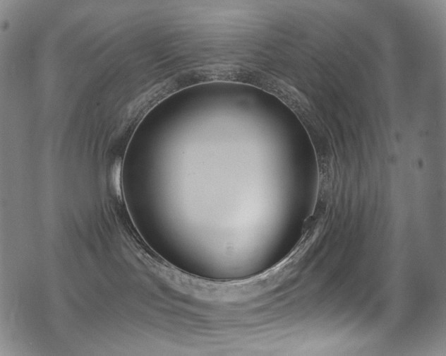 X0000075400047200609081306