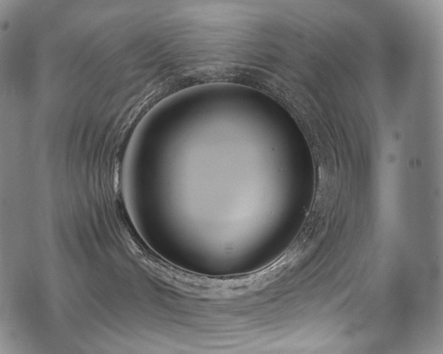 X0000075400048200609081306