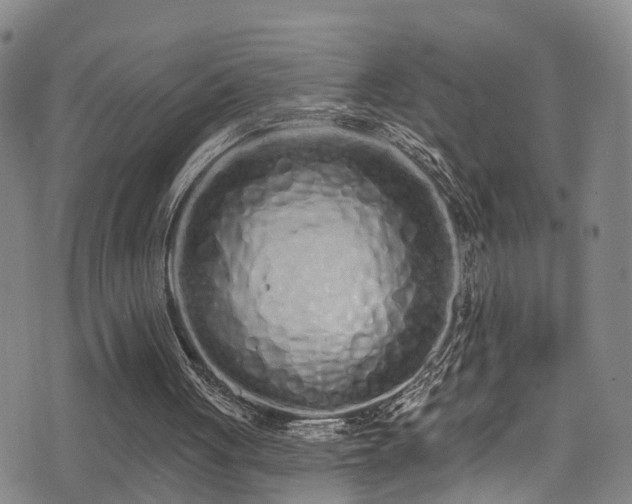 X0000075400051200609081305