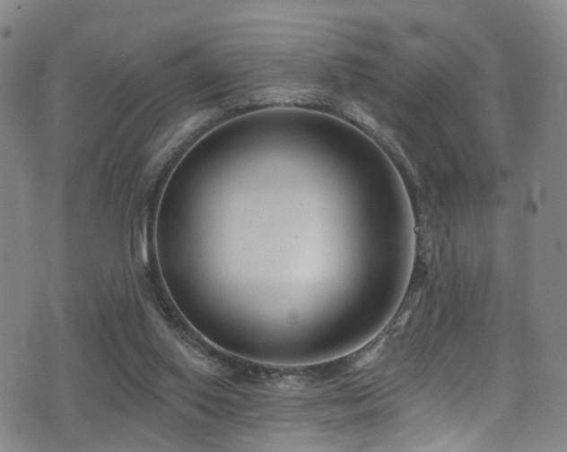 X0000075400062200609081305