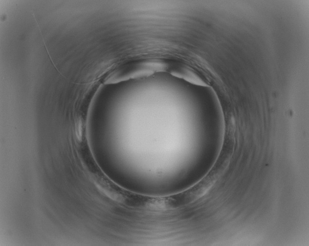 X0000075400076200609081306