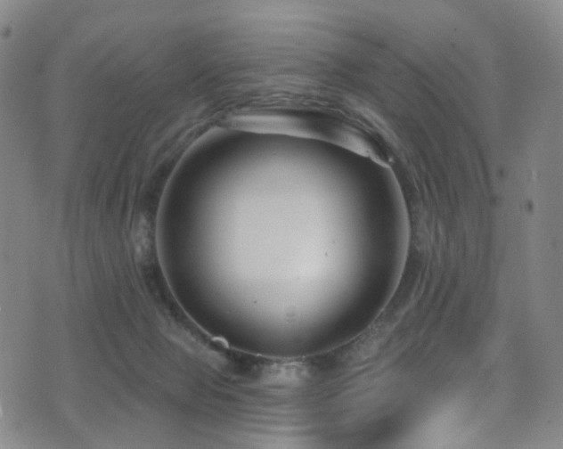 X0000075400077200609081306