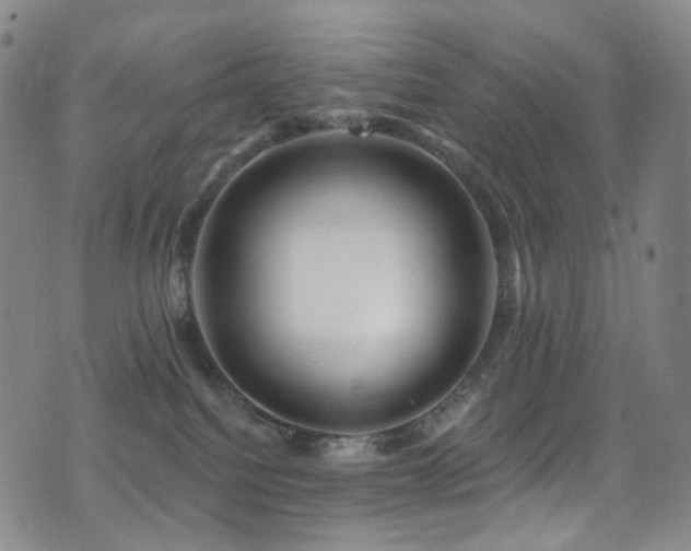 X0000075400088200609081306